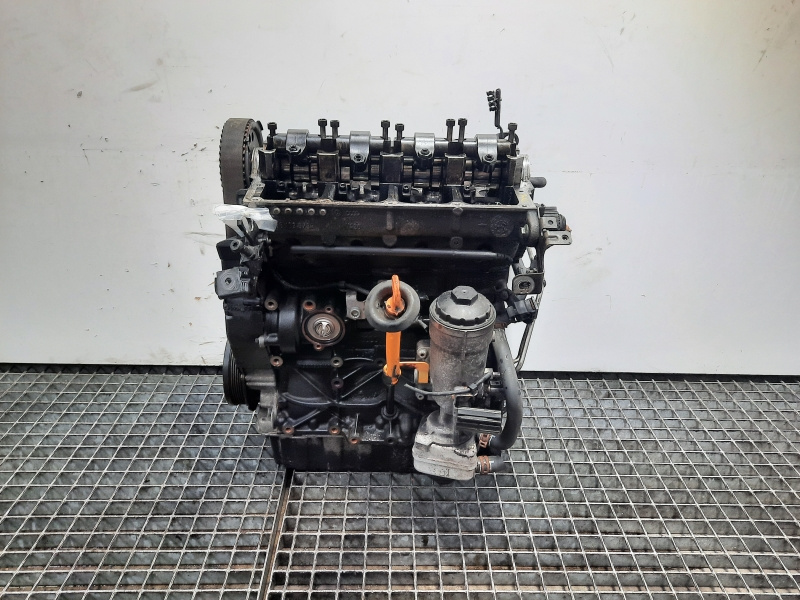 Motor, cod BKC, Audi A3 (8P1) 1.9 TDI (pr:110747)