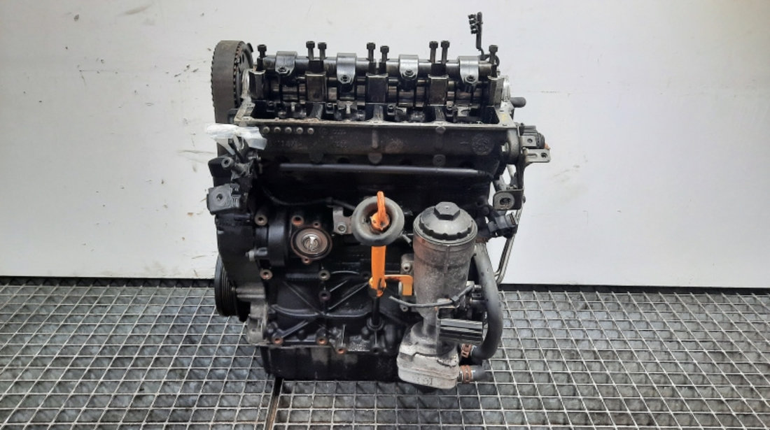 Motor, cod BKC, Audi A3 (8P1) 1.9 TDI (pr:110747)