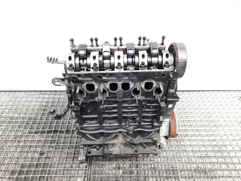 Motor, cod BKC, VW Golf 5 (1K1), 1.9 TDI (pr:110747)