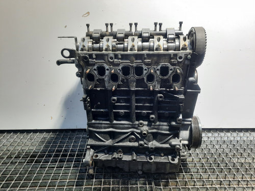 Motor, cod BXE, Audi A3 (8P1), 1.9 TDI (pr:110747)