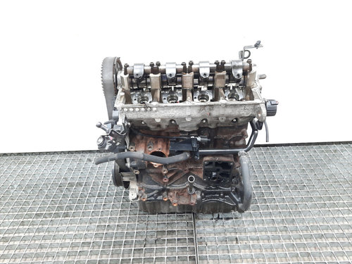 Motor, cod BXE, Skoda Superb II (3T4), 1.9 TDI (pr;110747)