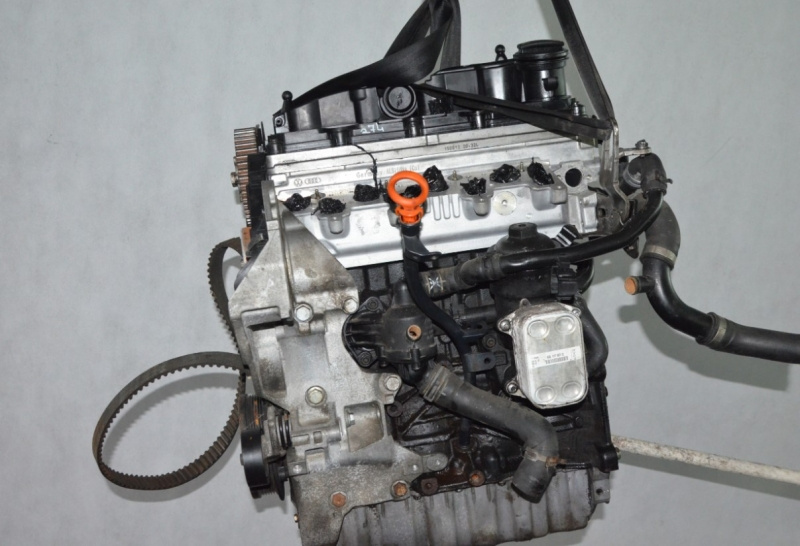 Motor, cod CAYC, Vw Beetle (5C1) 1.6 TDI (pr:110747)