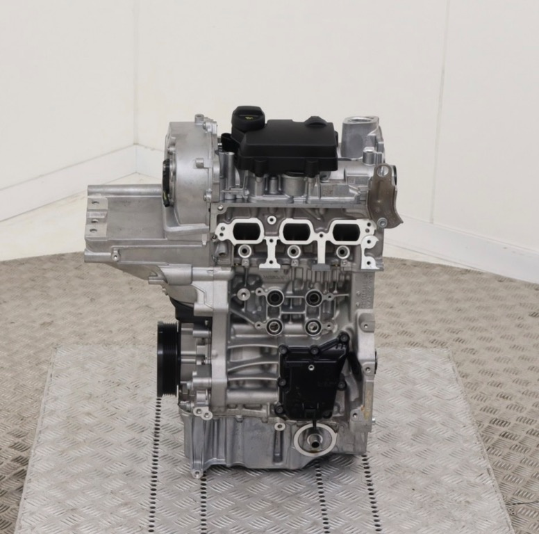 Motor DUS Volkswagen Polo 2G AW1 1.0TSI 500km