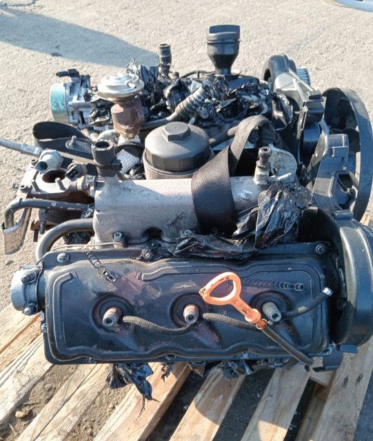Motor fara anexe BDG Audi A4 B6 [2000 - 2005]