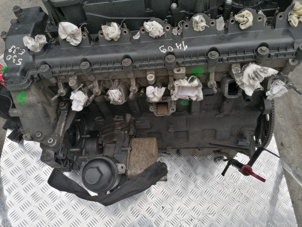 Motor fara anexe BMW Seria 5 (1995-2003) [E39] 3.0 Motorina 2003, 306D1