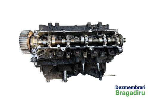 Motor fara anexe Renault Megane 2 [facelift] [2006 - 2012] Hatchback 5-usi 1.5 dCi MT (86 hp)