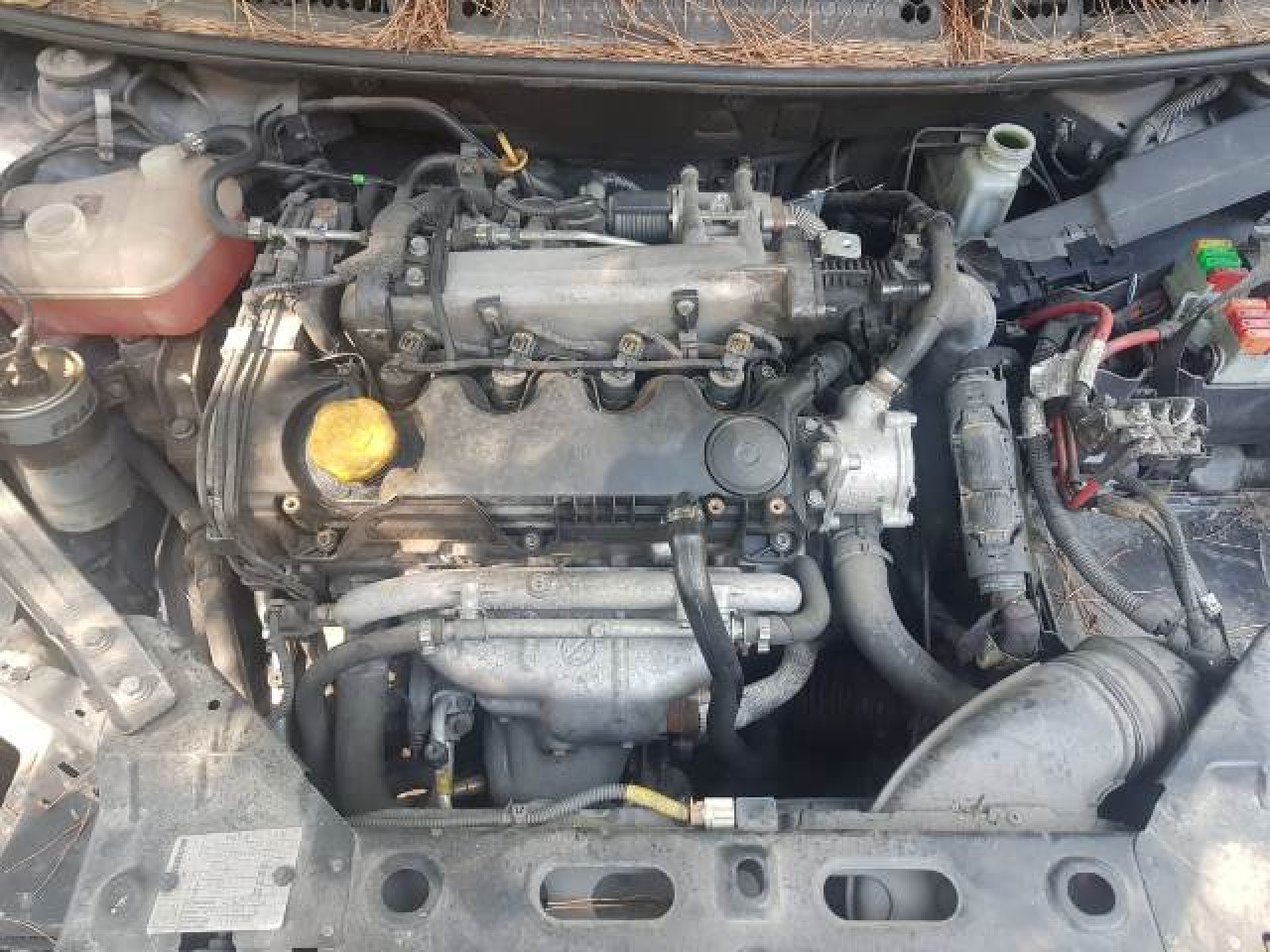 Motor Fiat Bravo 1.9D Multijet