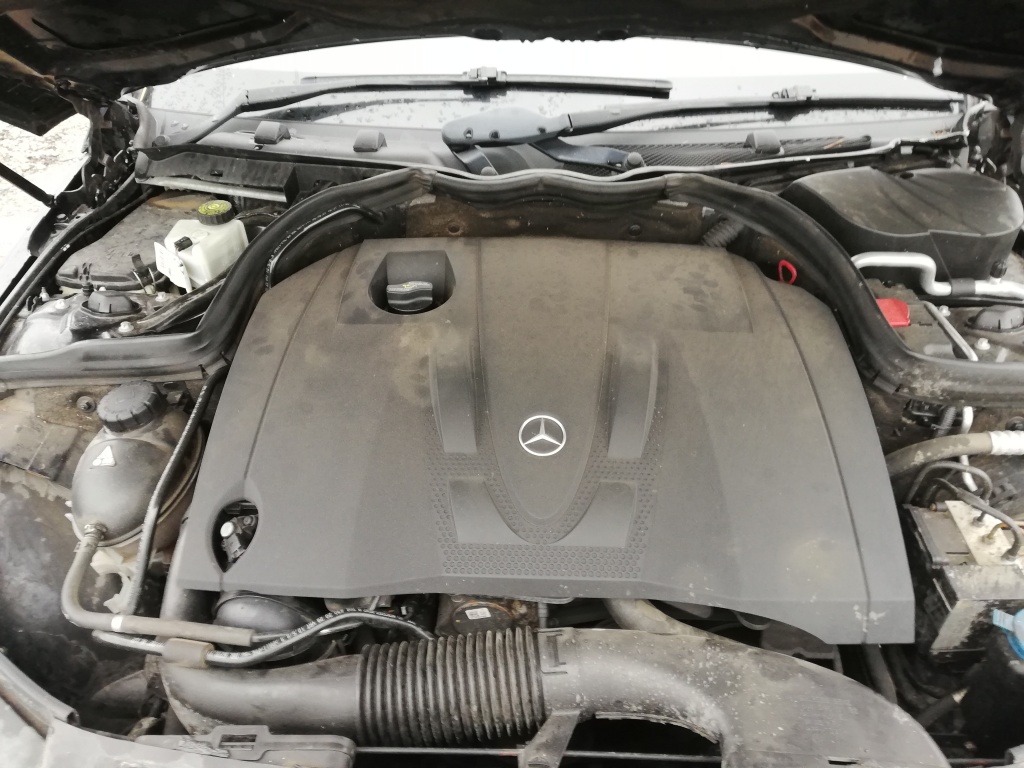 Motor Mercedes c220 cdi w204 OM 646811 EURO 4