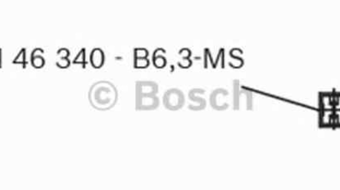 motor stergator Producator BOSCH F 006 B20 106