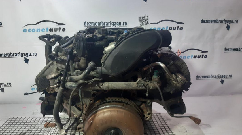 Motor Volkswagen Passat 3b3 - 3b6 (2000-2005)