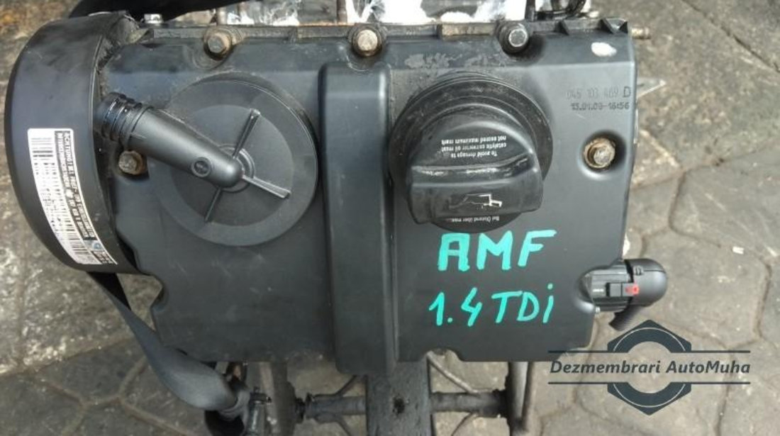 Motor Volkswagen Polo (2001-2009) AMF