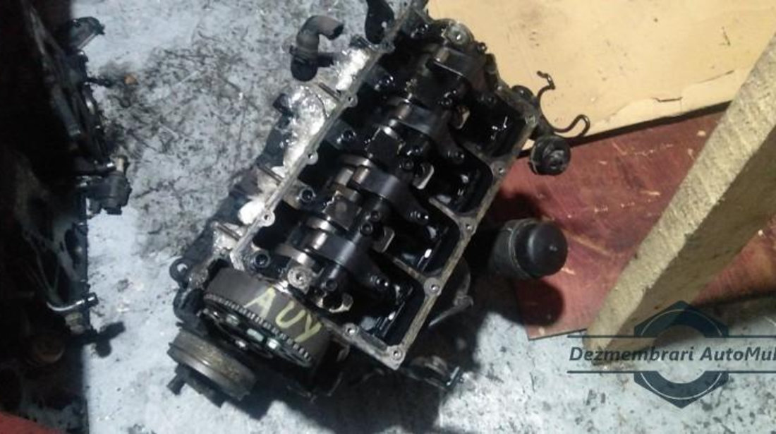 Motor Volkswagen Sharan (2000-2010) AUY