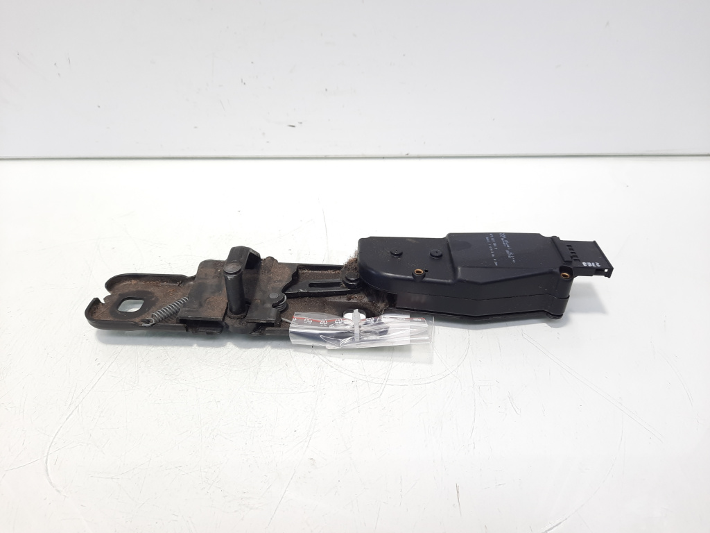 Motoras deschidere haion, cod 4F98273838, Audi A4 Allroad (8KH, B8) (idi:555879)