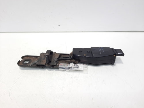 Motoras deschidere haion, cod 4F98273838, Audi A4 Allroad (8KH, B8) (idi:555879)