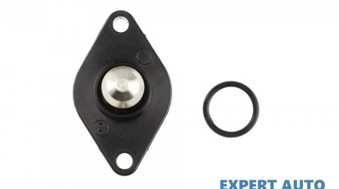 Motoras pas cu pas Jeep Wrangler 2 (1996-2008)[TJ] #1 4874373