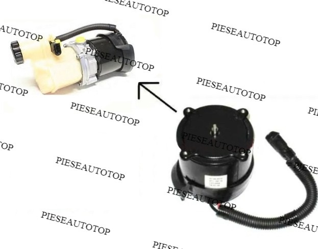 Motoras pompa servodirectie Renault Kangoo 1,9 dCi NOU