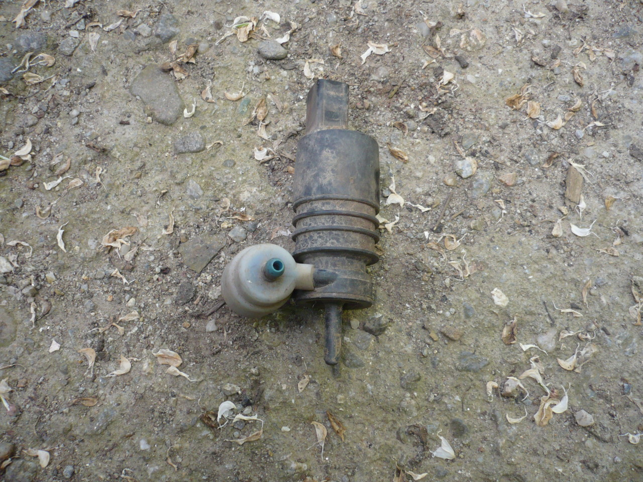 Motoras Vas Stropgel  Audi A3 8P