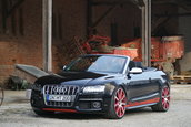 MTM S5 Cabrio Michelle Edition