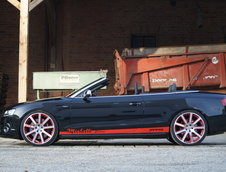 MTM S5 Cabrio Michelle Edition