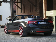 MTM S5 Cabrio Michelle Edition