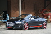 MTM S5 Cabrio Michelle Edition