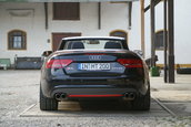 MTM S5 Cabrio Michelle Edition