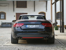MTM S5 Cabrio Michelle Edition