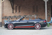 MTM S5 Cabrio Michelle Edition