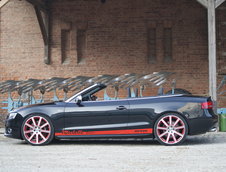 MTM S5 Cabrio Michelle Edition