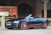 MTM S5 Cabrio Michelle Edition