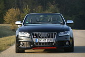 MTM S5 Cabrio Michelle Edition