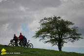 Muscel Racing Contest 2010