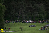 Muscel Racing Contest 2010