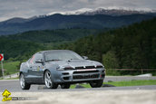 Muscel Racing Contest 2010