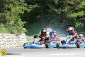 Muscel Racing Contest 2010