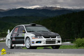 Muscel Racing Contest 2010