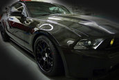 Mustang RTR-C