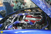 My Special Car Show Rimini Italia 2005