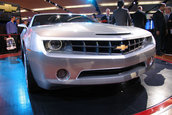 NAIAS 2006