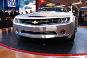 NAIAS 2006