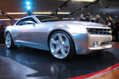 NAIAS 2006