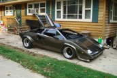 Nebun dupa Lamborghini: si-a facut propriul Countach in subsolul casei