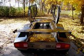 Nebun dupa Lamborghini: si-a facut propriul Countach in subsolul casei