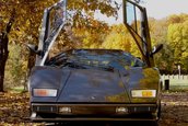 Nebun dupa Lamborghini: si-a facut propriul Countach in subsolul casei