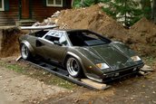 Nebun dupa Lamborghini: si-a facut propriul Countach in subsolul casei