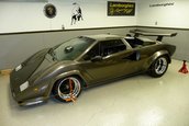 Nebun dupa Lamborghini: si-a facut propriul Countach in subsolul casei