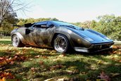 Nebun dupa Lamborghini: si-a facut propriul Countach in subsolul casei