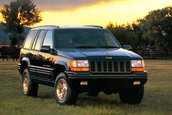 Nevoia de SUV