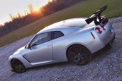 Nissan GT-R Track Animal by Switzer - Godzilla intra la dieta