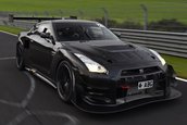 Nissan LM1 RS GT-R by Litchfield